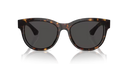 BE 4432 U