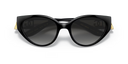 DG 6146