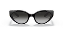 DG 6146