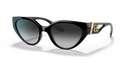 DG 6146