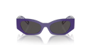 DX 6003