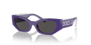 DX 6003