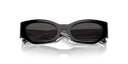 DX 6003