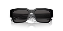 DX 6004