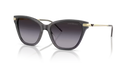 EA 4251