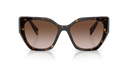 PR 19 Z