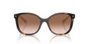 PR 22 Z
