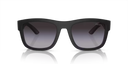 PS 01 Z