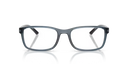 PS 06 R