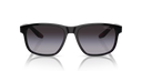 PS 06 Y