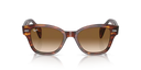 RB 0880 S