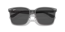 RB 2206 D