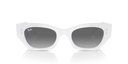 RB 4430