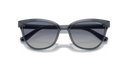 VO-5496 SI