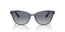 VO-5496 SI