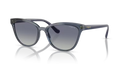 VO-5496 SI