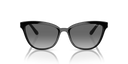 VO-5496 SI