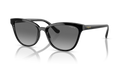 VO-5496 SI