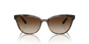 VO-5496 SI