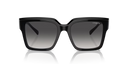 VO 5553 S