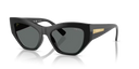 VO 5607 S