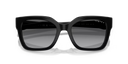 VO 5613 SB