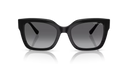 VO 5613 SB