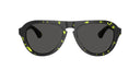 polarized sunglasses 