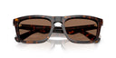 designer frames