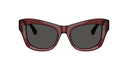 designer frames