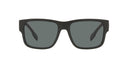 round sunglasses for men